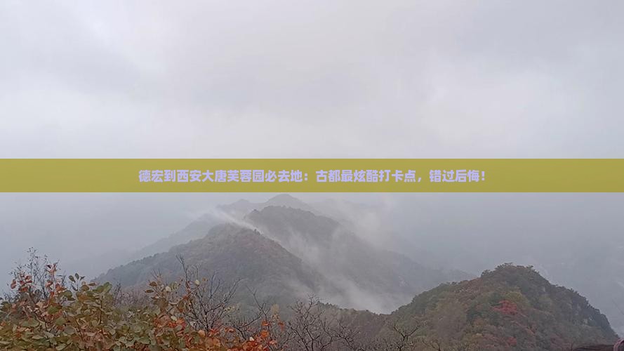德宏到西安大唐芙蓉园必去地