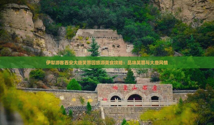 伊犁哈萨克去西安大唐芙蓉园旅游小吃