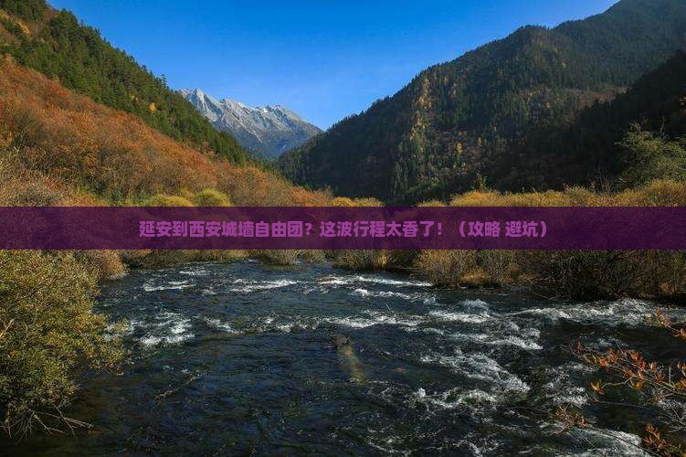 延安到西安城墙自由团