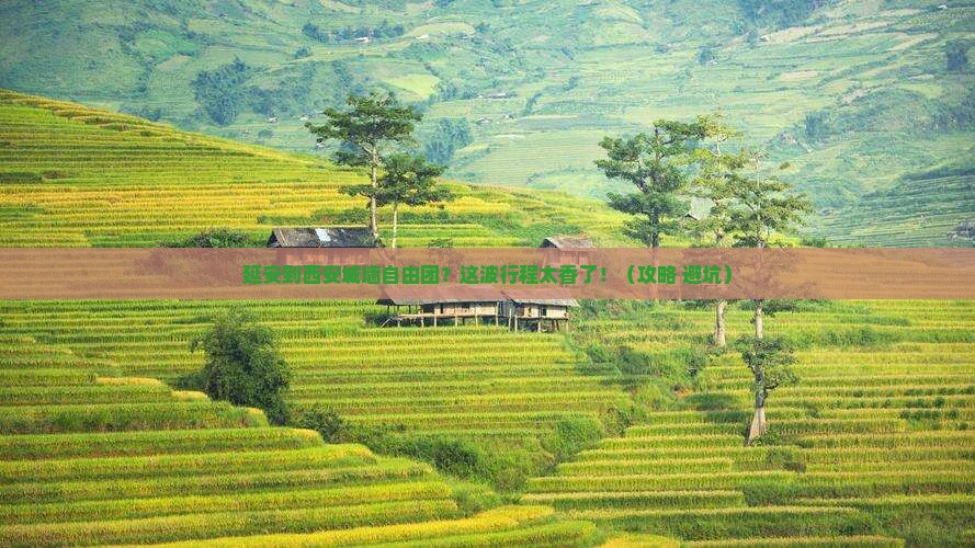 延安到西安城墙自由团