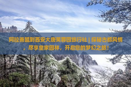 阿拉善盟到西安大唐芙蓉园旅行社