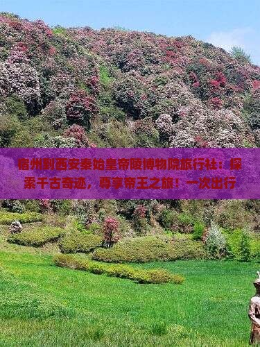 宿州到西安秦始皇帝陵博物院旅行社