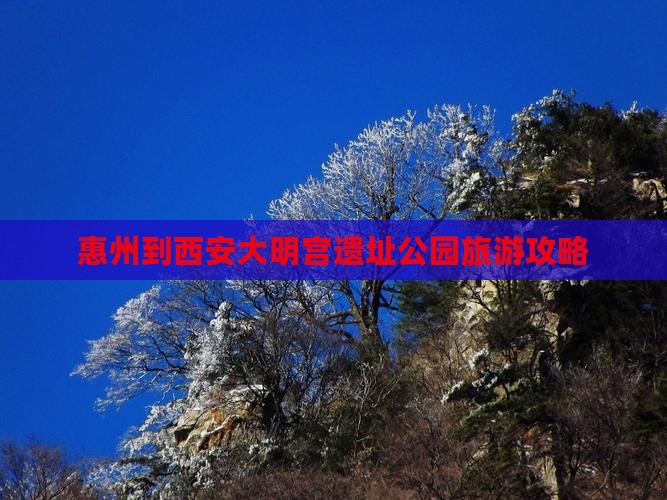 惠州到西安大明宫国家遗址公园旅游
