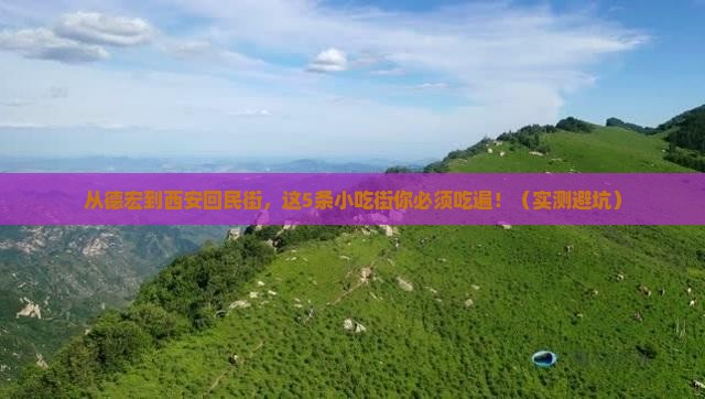 德宏到西安回民街旅游小吃