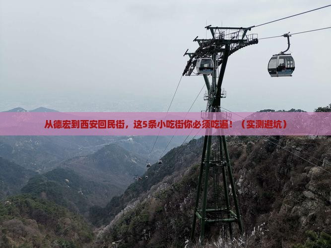 德宏到西安回民街旅游小吃