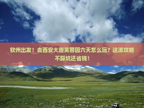钦州去西安大唐芙蓉园六日游