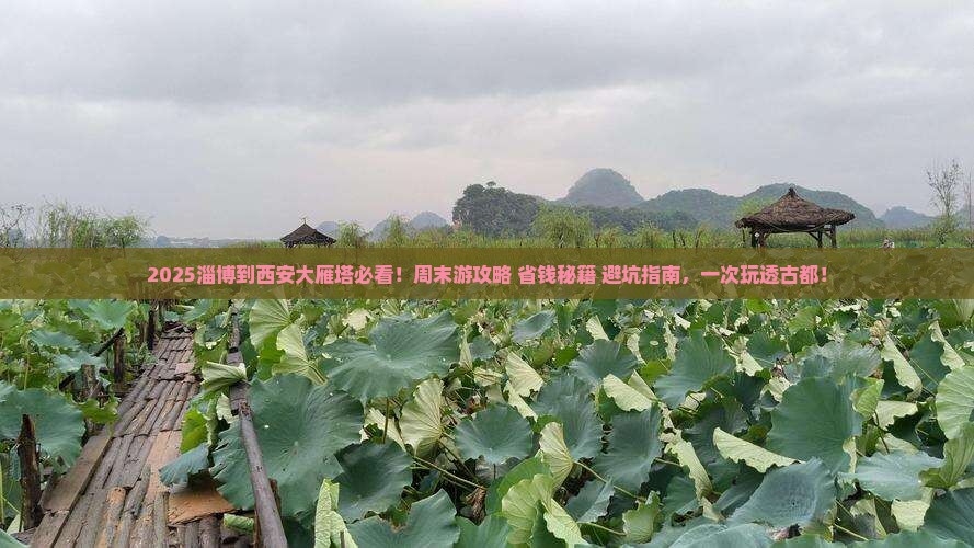淄博到西安大雁塔哪里玩