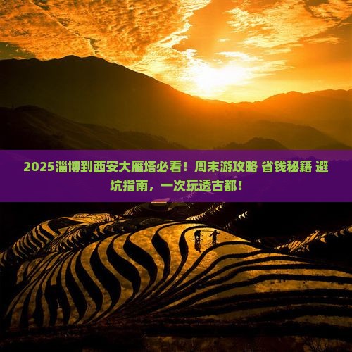 淄博到西安大雁塔哪里玩