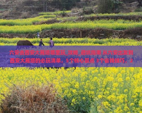 六安去西安大雁塔哪里玩