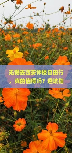 无锡去西安钟楼自由行