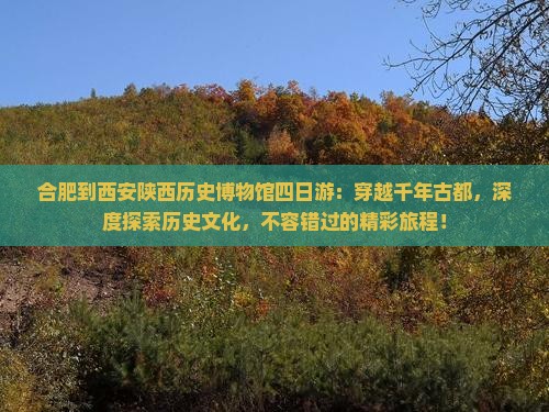 合肥到西安陕西历史博物馆四日游