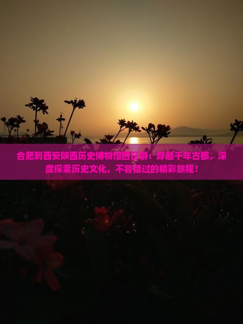 合肥到西安陕西历史博物馆四日游