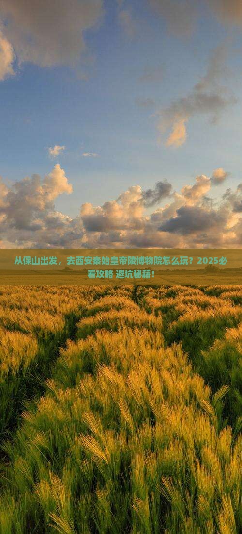 保山去西安秦始皇帝陵博物院景点