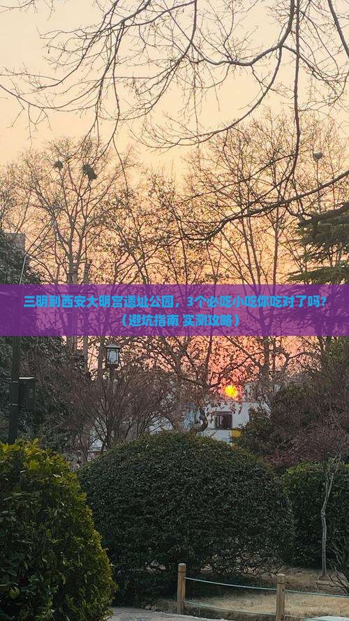 三明到西安大明宫国家遗址公园旅游小吃