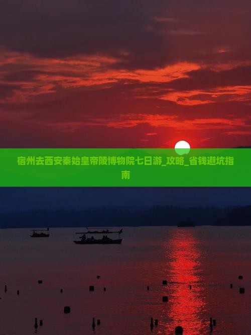宿州去西安秦始皇帝陵博物院七日游