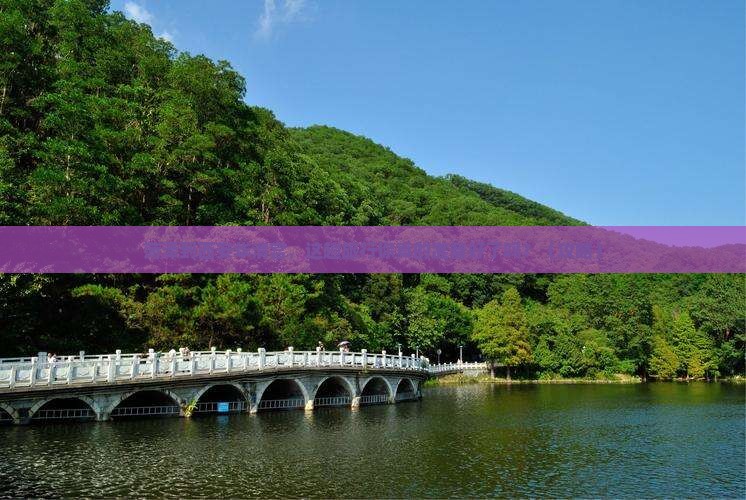 菏泽到西安华清宫大型旅游团