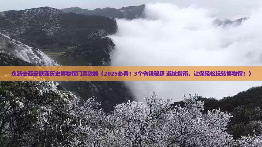 永新去西安陕西历史博物馆门票