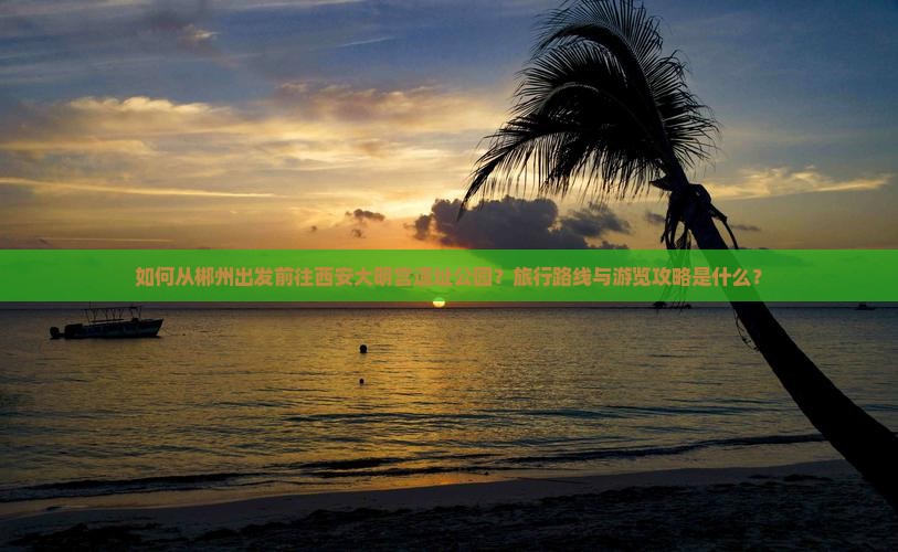 如何从郴州出发前往西安大明宫遗址公园？旅行路线与游览攻略是什么？
