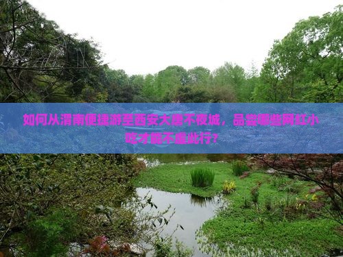 如何从渭南便捷游至西安大唐不夜城，品尝哪些网红小吃才能不虚此行？