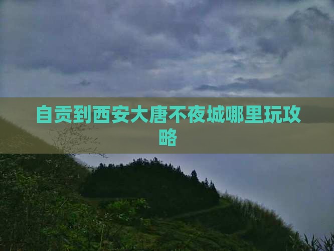 自贡到西安大唐不夜城哪里玩攻略