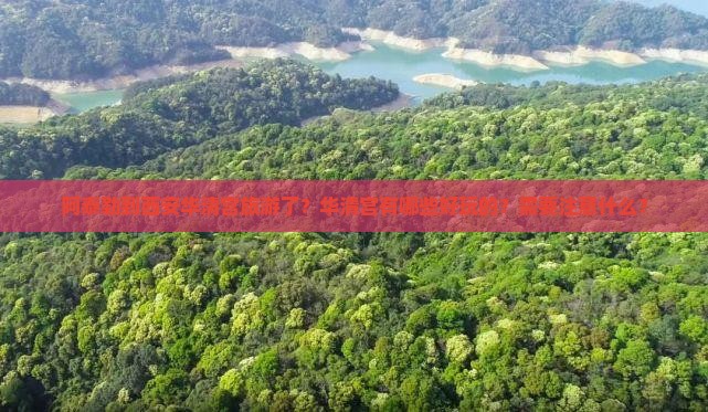 阿泰勒到西安华清宫旅游了？华清宫有哪些好玩的？需要注意什么？