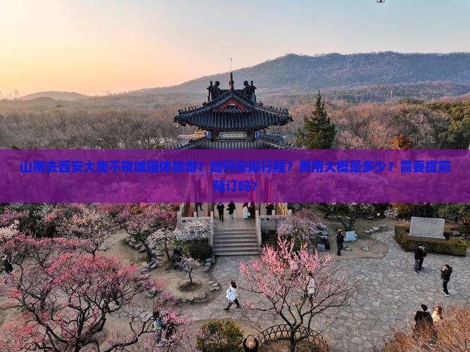 山南去西安大唐不夜城团体旅游？如何安排行程？费用大概是多少？需要提前预订吗？