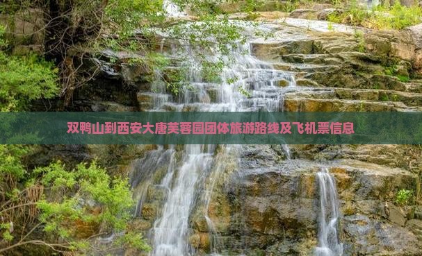 双鸭山到西安大唐芙蓉园团体旅游路线及飞机票信息