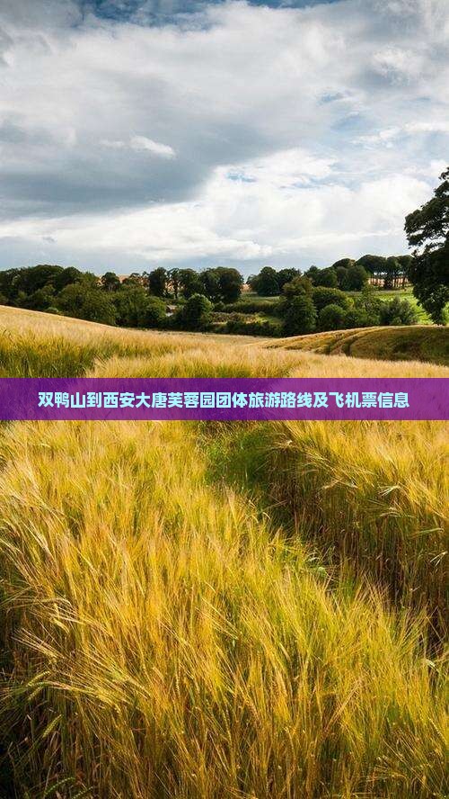 双鸭山到西安大唐芙蓉园团体旅游路线及飞机票信息