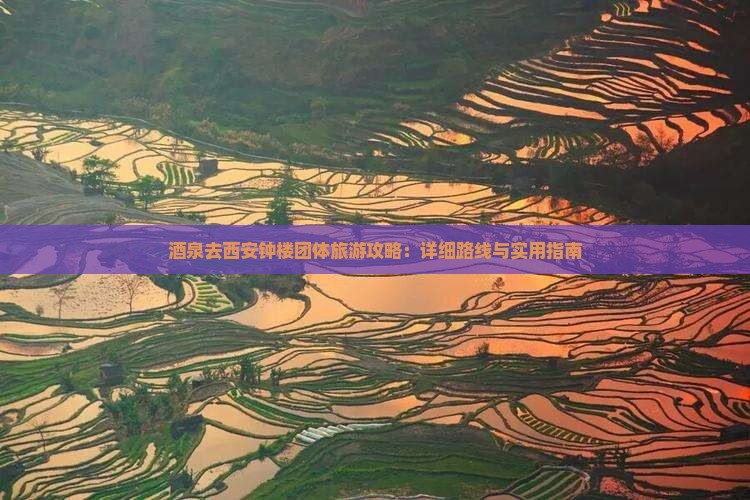 酒泉去西安钟楼团体旅游攻略：详细路线与实用指南
