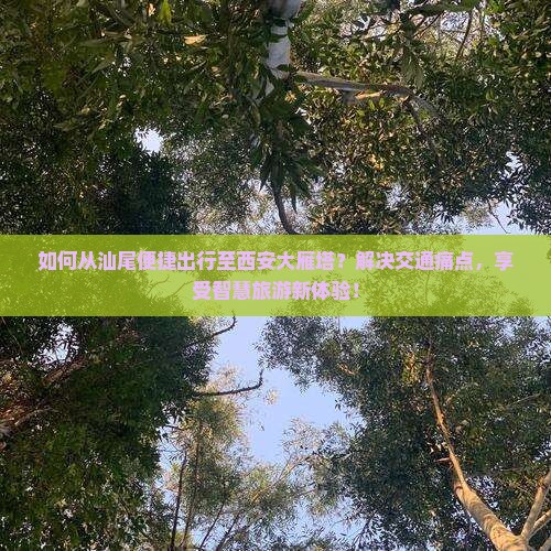 如何从汕尾便捷出行至西安大雁塔？解决交通痛点，享受智慧旅游新体验！