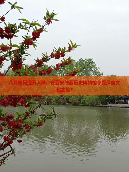 八月如何避开人潮，在西安陕西历史博物馆享受深度文化之旅？