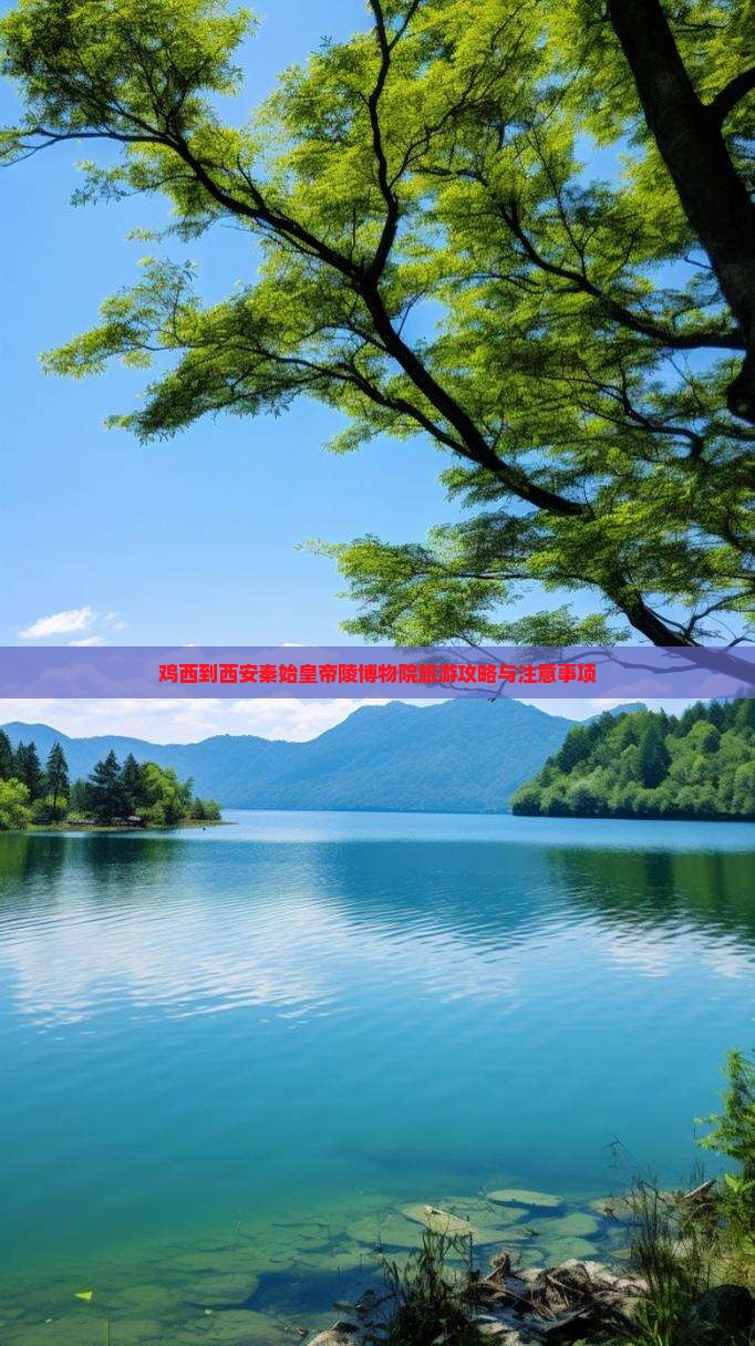 鸡西到西安秦始皇帝陵博物院旅游攻略与注意事项