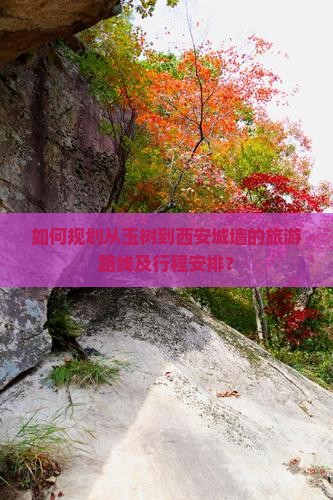 如何规划从玉树到西安城墙的旅游路线及行程安排？