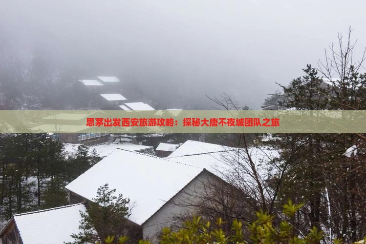 思茅出发西安旅游攻略：探秘大唐不夜城团队之旅
