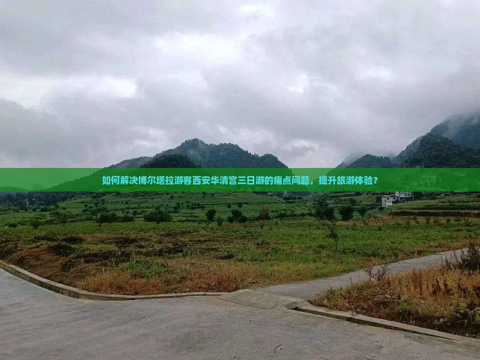 如何解决博尔塔拉游客西安华清宫三日游的痛点问题，提升旅游体验？