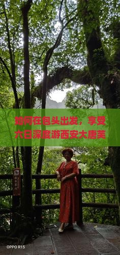 如何在包头出发，享受六日深度游西安大唐芙蓉园的同时，避开旅游痛点，融入网红打卡新体验？