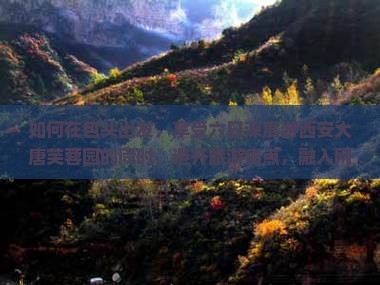如何在包头出发，享受六日深度游西安大唐芙蓉园的同时，避开旅游痛点，融入网红打卡新体验？