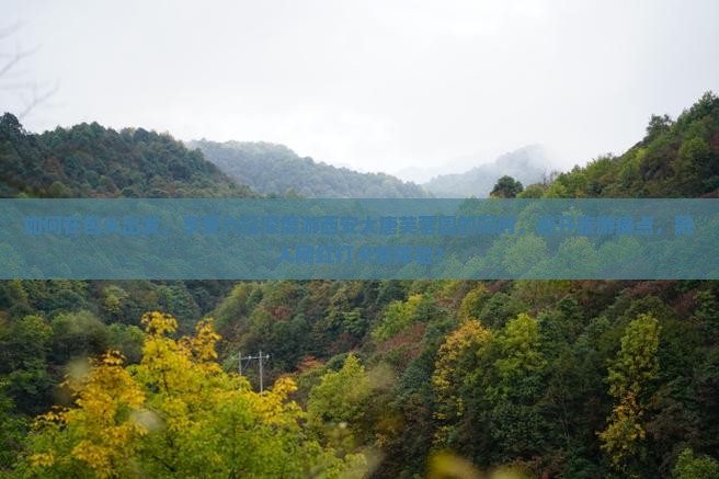 如何在包头出发，享受六日深度游西安大唐芙蓉园的同时，避开旅游痛点，融入网红打卡新体验？