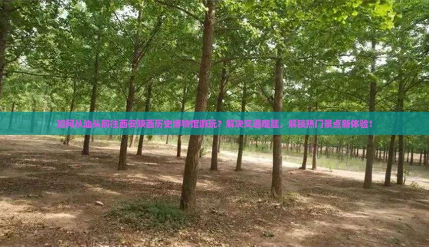 如何从汕头前往西安陕西历史博物馆游玩？解决交通难题，解锁热门景点新体验！