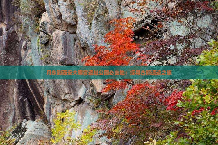 丹东到西安大明宫遗址公园必去地：探寻古都遗迹之旅