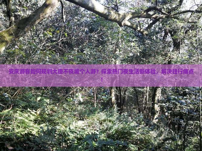 安庆游客如何规划大唐不夜城个人游？探索热门夜生活新体验，解决独行痛点！