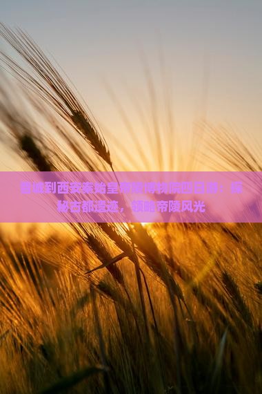 晋城到西安秦始皇帝陵博物院四日游：探秘古都遗迹，领略帝陵风光