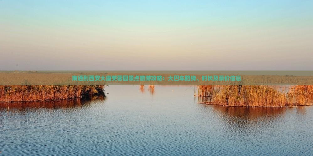 南通到西安大唐芙蓉园景点旅游攻略：大巴车路线、时长及票价信息