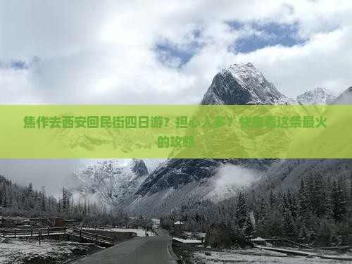 焦作去西安回民街四日游？担心人多？快来看这条最火的攻略