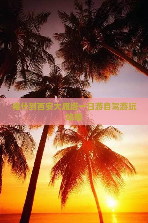 喀什到西安大雁塔一日游自驾游玩攻略
