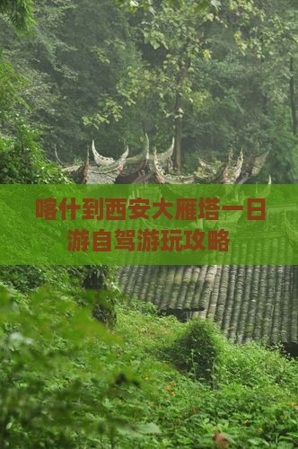 喀什到西安大雁塔一日游自驾游玩攻略