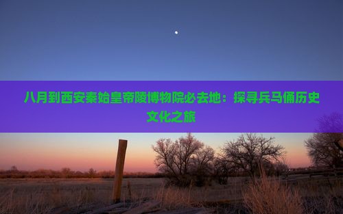八月到西安秦始皇帝陵博物院必去地：探寻兵马俑历史文化之旅