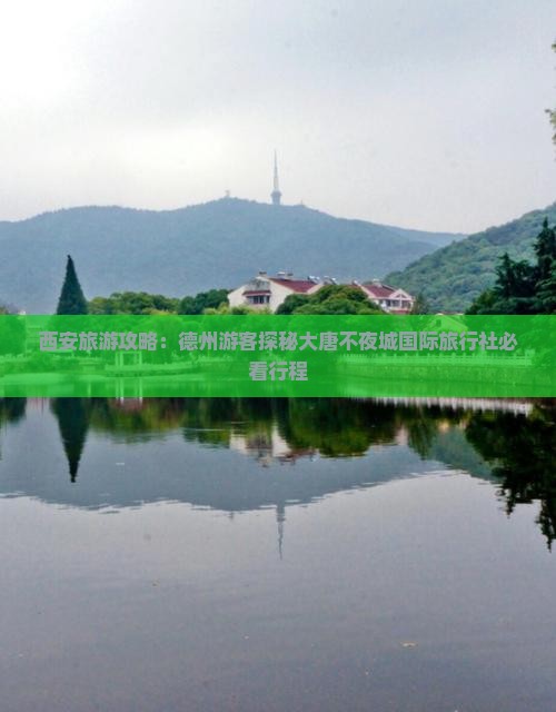 西安旅游攻略：德州游客探秘大唐不夜城国际旅行社必看行程