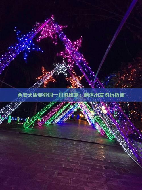 西安大唐芙蓉园一日游攻略：商洛出发游玩指南