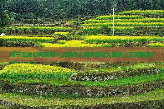 南宁出发如何规划一次避开人潮的西安大雁塔七日深度游？